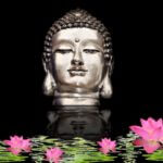 Peacefulness Zen Meditation Music